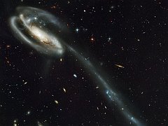 Tadpole, UGC 10214